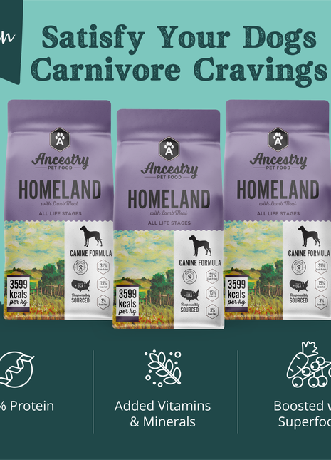 Homeland With Lamb Meal