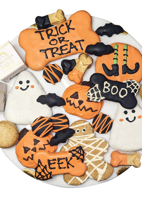 Halloween Themed Dog Treats Gift Box