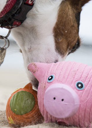 Hamlet Pig Ruff-Tex® Latex Ball Dog Toy, Large - Pup List