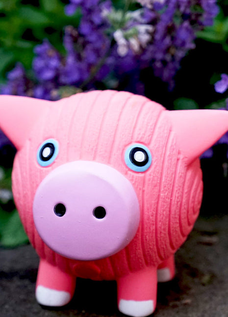 Hamlet Pig Ruff-Tex® Latex Ball Dog Toy, Large - Pup List