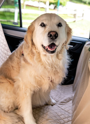 TuffutLuxx® Vehicle Protectors for Travel