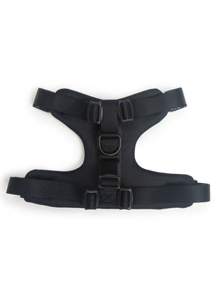 Signature Harness