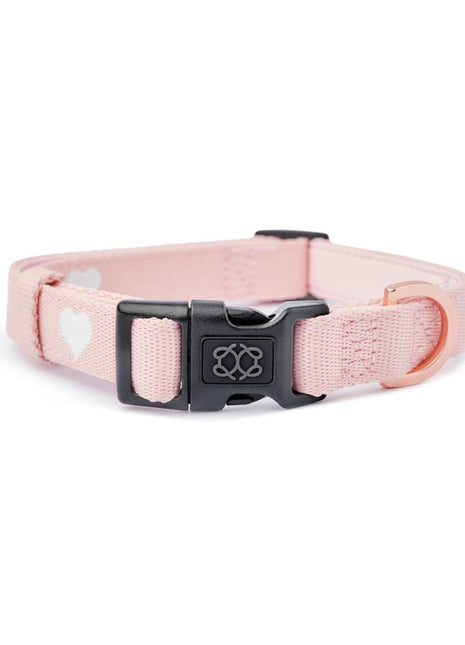 City Collar - Sweetheart - Pup List