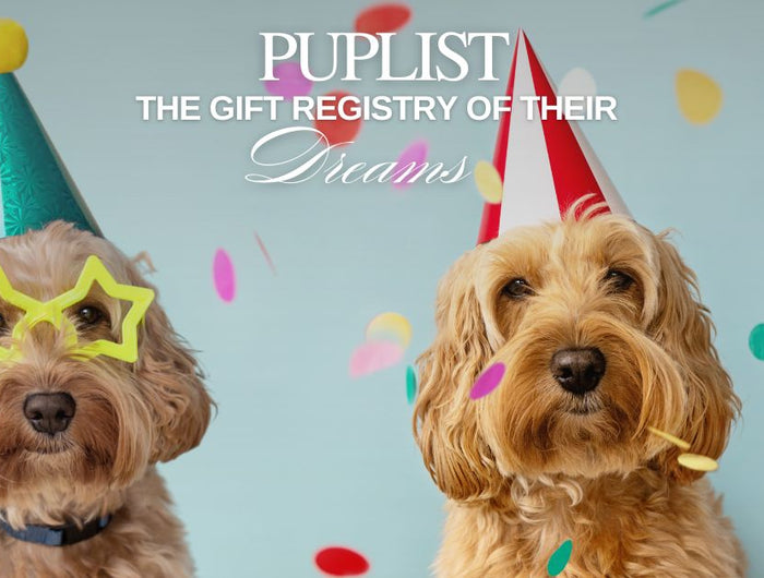 <h1><a href="#gift-registry" title="#gift-registry">10% Off After Registry Creation</a></h1>