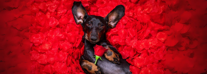 <h1><a href="#gift-registry" title="#gift-registry">10% Off After Registry Creation</a></h1>