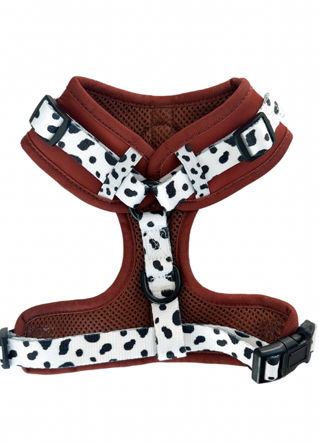 Spotted Ember Adjustable Harness - Pup List