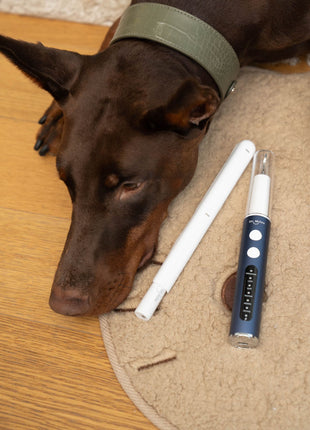 Anesthesia-Free Pet Dental Cleaning Kit: Professional Ultrasonic Tartar Remover & Electric Toothbrush for Dogs & Cats by Dr. Milou®