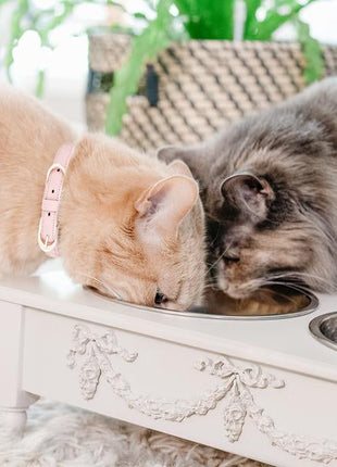 Rose Swag Elevated Pet Bowl / Feeder