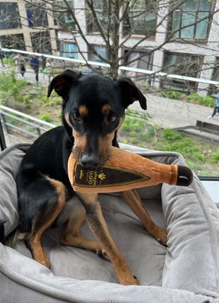 1996 TEQUILA PLUSH DOG TOY