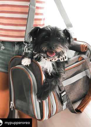 Mr. Peanut's Gold Series Standard Size Airline Compliant Pet Carrier