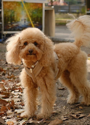 Tan - Comfort Dog Harness