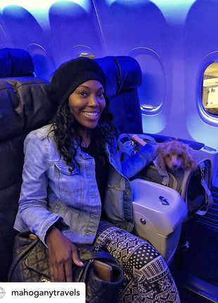 Mr. Peanut's Platinum Series Expandable Pet Carrier