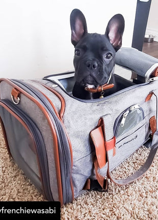 Mr. Peanut's Gold Series Standard Size Airline Compliant Pet Carrier