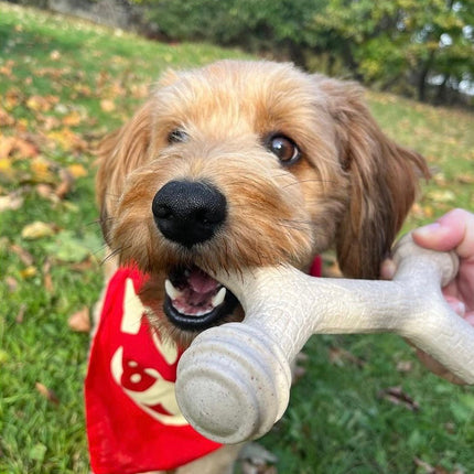 Barkin' Bone