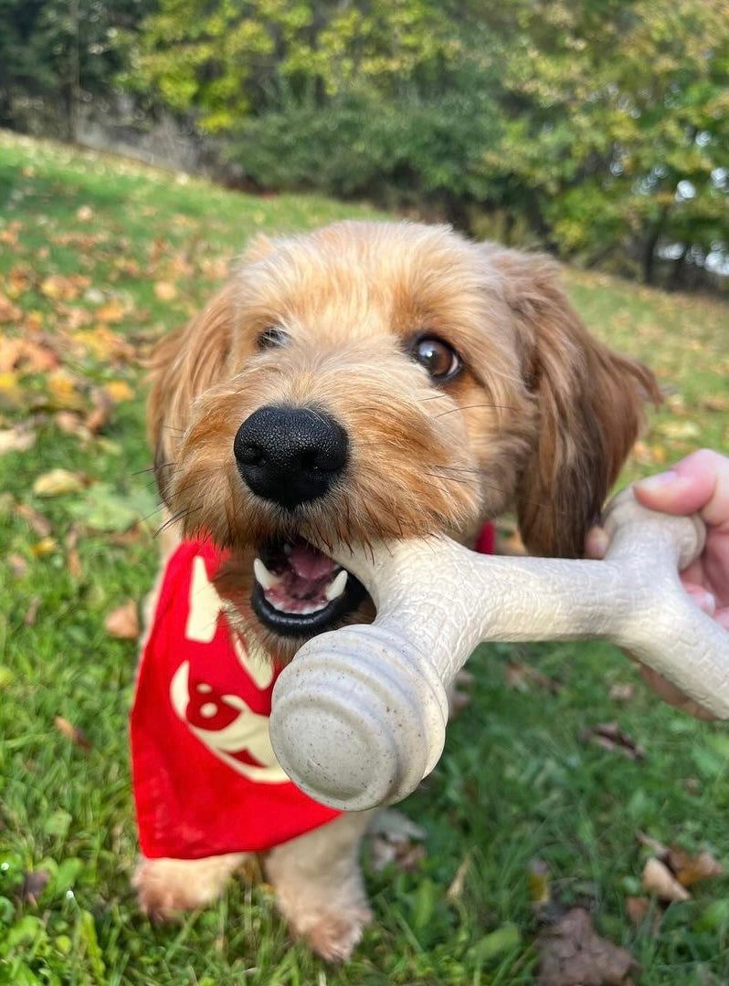 Barkin' Bone