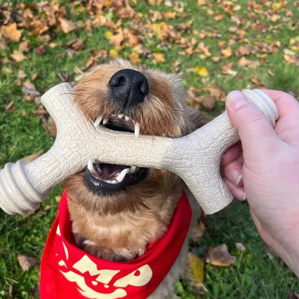 Barkin' Bone