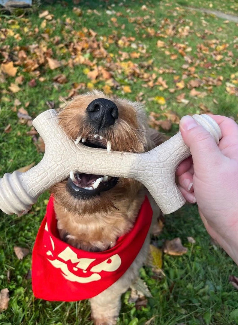 Barkin' Bone