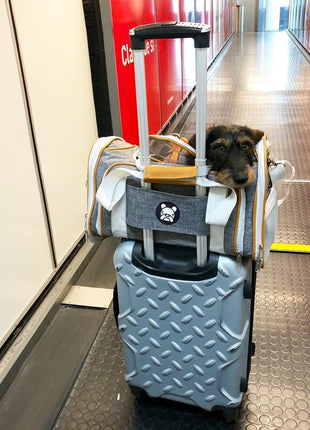 Mr. Peanut's Platinum Series Expandable Pet Carrier