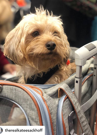 Mr. Peanut's Platinum Series Expandable Pet Carrier