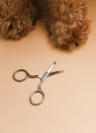 Mini Safety Scissor