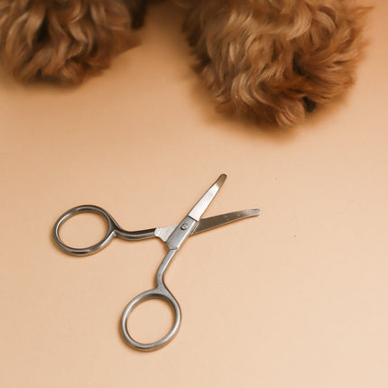 Mini Safety Scissor