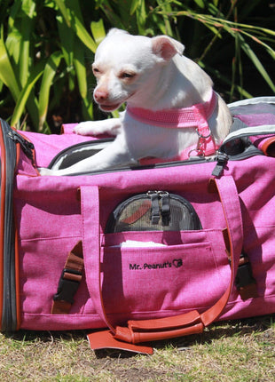 Mr. Peanut's Gold Series Standard Size Airline Compliant Pet Carrier