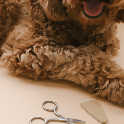 Mini Safety Scissor
