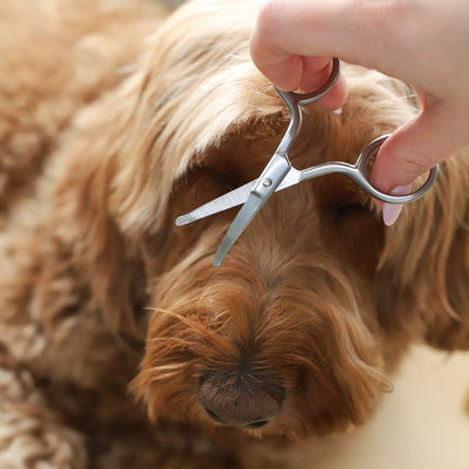 Mini Safety Scissor