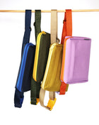 dog walking fanny pack