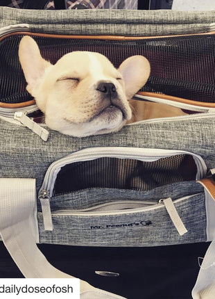 Mr. Peanut's Platinum Series Expandable Pet Carrier