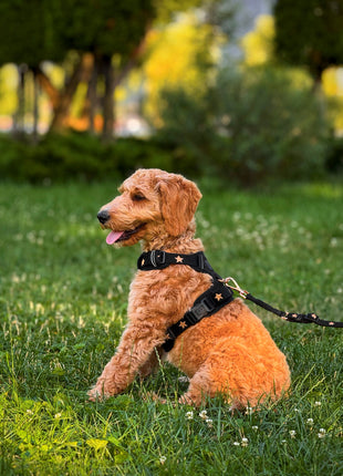 The NoMad Adjustable Luxe Harness - Rockstar