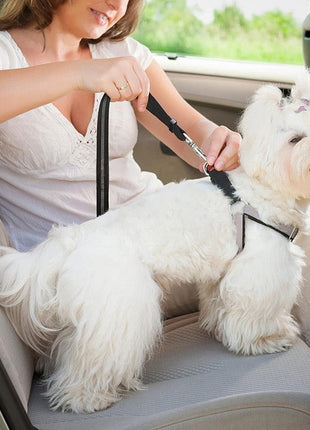 Milou & Lumi Adjustable Pet Car Seat Belt