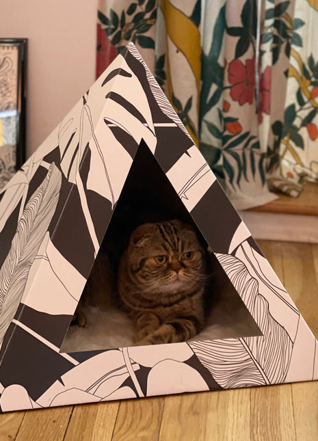 'Dark Paradise' Cardboard Cat Pyramid