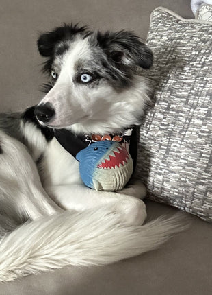 Finn the Shark Ruff-Tex® Latex Ball Dog Toy, Large - Pup List