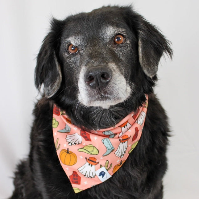 It's Fall Y'all Dog Bandana