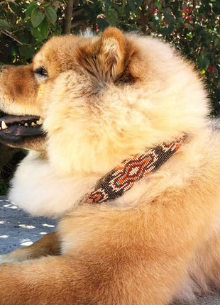 Matching leash/dog collar Boho Chic Sambboho Bundle