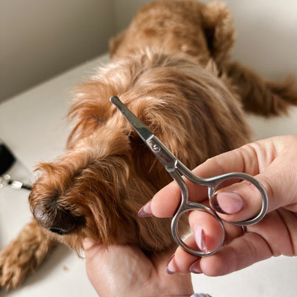 Mini Safety Scissor