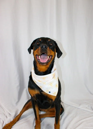 Summer Sun Dog Bandana