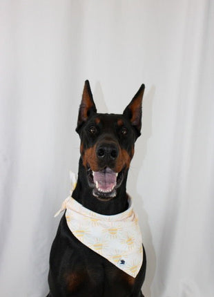 Summer Sun Dog Bandana