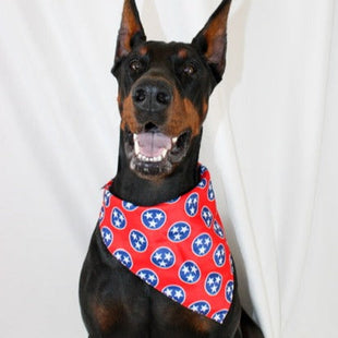 Nashville Tennessee Dog Bandana