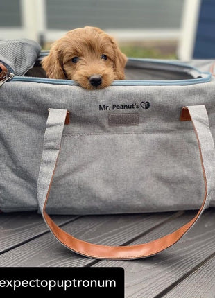 Mr. Peanut's Gold Series Big Apple XL Expandable Pet Carrier V3.0