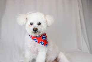 Nashville Tennessee Dog Bandana