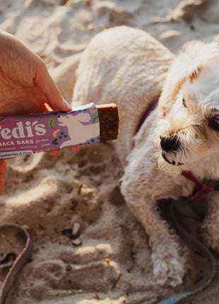 Blueberry & Oat Snack Bars