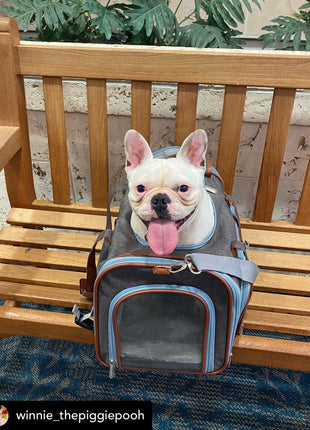 Mr. Peanut's Gold Series Big Apple XL Expandable Pet Carrier V3.0