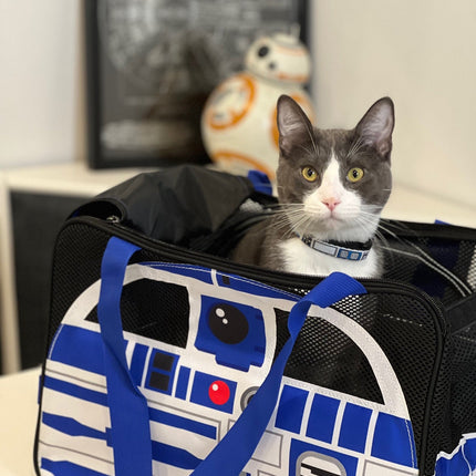 Buckle-Down Pet Carrier - Star Wars R2-D2