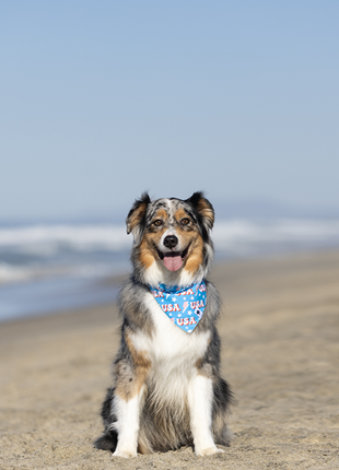 USA Dog Bandana