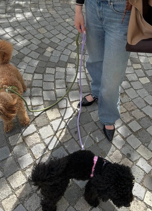 'Moss Green' - Braided Rope Leash