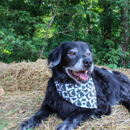 Skeleton Dog Bandana