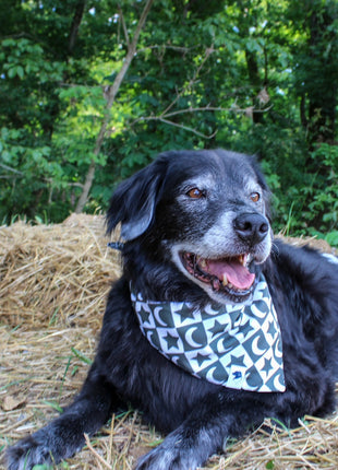 Skeleton Dog Bandana