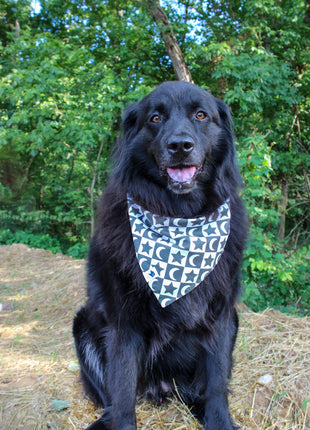 Skeleton Dog Bandana